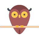 owl Icon