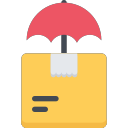 package insurance Icon