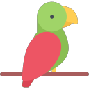parrot Icon