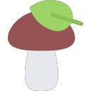 porcini Icon