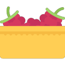 raspberries Icon