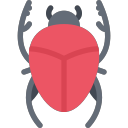 scarab Icon