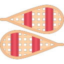 snowshoes Icon