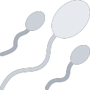 sperm 1 Icon