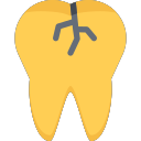 tooth crack Icon