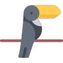 toucan Icon