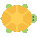 turtle Icon