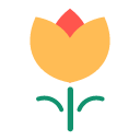evaluate Icon