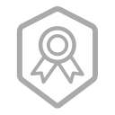 System authentication Icon