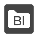 Bi development Icon