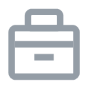 Business system Icon