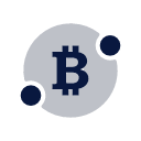 Bitcoin Icon