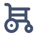 wheelchair-alt Icon