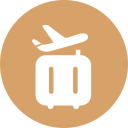 Baggage priority arrival Icon