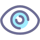 Eyes, visible, effective, visible Icon