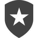 si-glyph-shield-star Icon
