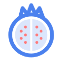 05_ pomegranate Icon