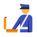 Customs Icon