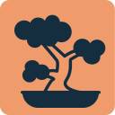 bonsai Icon
