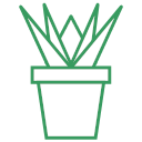 plant-16 Icon