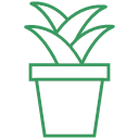 plant-6 Icon