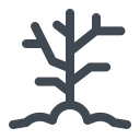 Dry Tree-2 Icon
