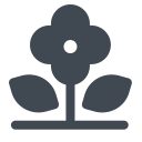Flower-1 Icon