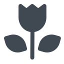 Flower-4 Icon