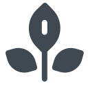 Plant-3 Icon