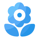 credit Icon