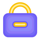 password Icon