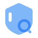 Risk inquiry Icon