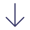 arrow-down Icon