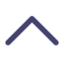 chevron-up Icon