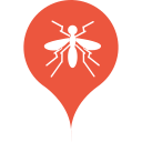 dengue fever Icon