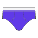 Briefs Icon