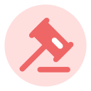 05 policies and regulations Icon