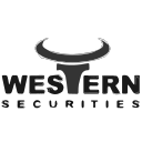Western securities Icon