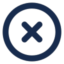x-circle Icon
