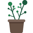 Potted 10 Icon