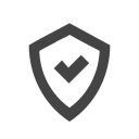 Shield insurance certification Icon