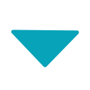 triangle Icon