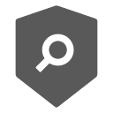 security scan-fill Icon
