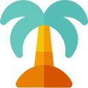 palm-tree Icon