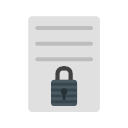 5716 - secure Document Icon
