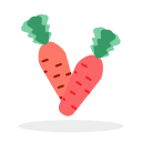 garden radish. SVG Icon