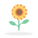 Sunflower. SVG Icon