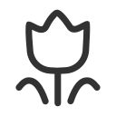 flower-o Icon