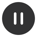 pause-circle Icon