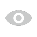 Login - password visible 2 Icon
